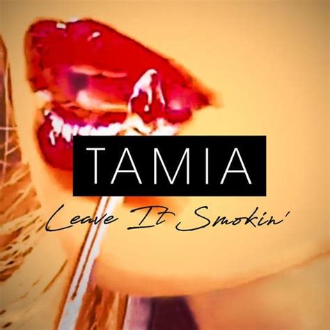 smokin lyrics|tamia leave it smokin lyrics.